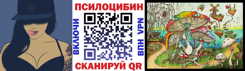 Псилоцибиновые грибы GOLDEN TEACHER Чернушка